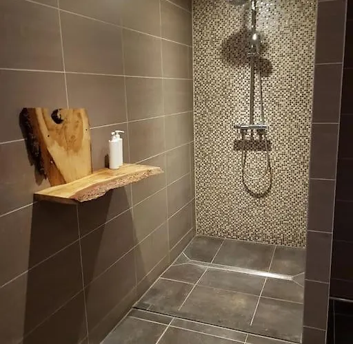 公寓 Waterhill's Bed & Wellness Dinteloord