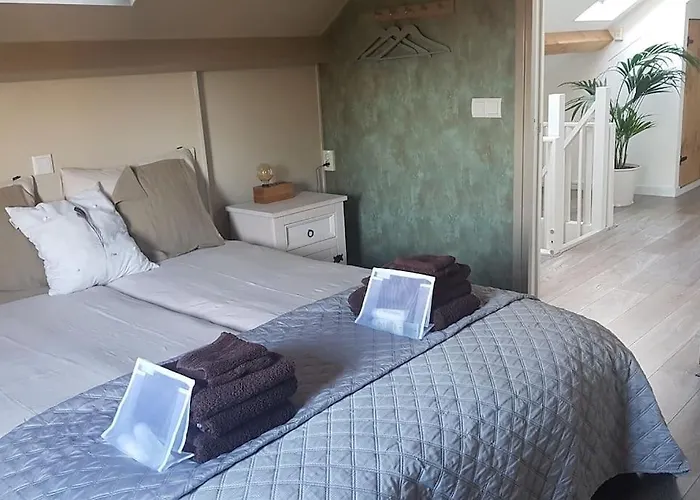 公寓 Waterhill's Bed & Wellness Dinteloord